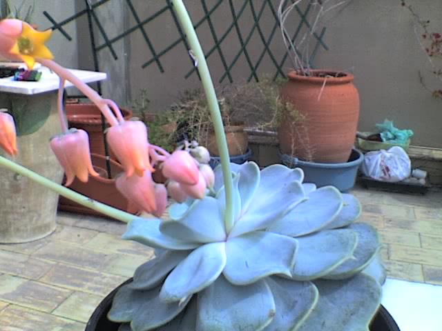 29-03-08_1145.jpg