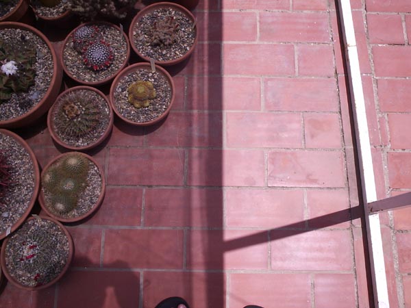 1. Ivernadero (sombreo mosquitera).JPG