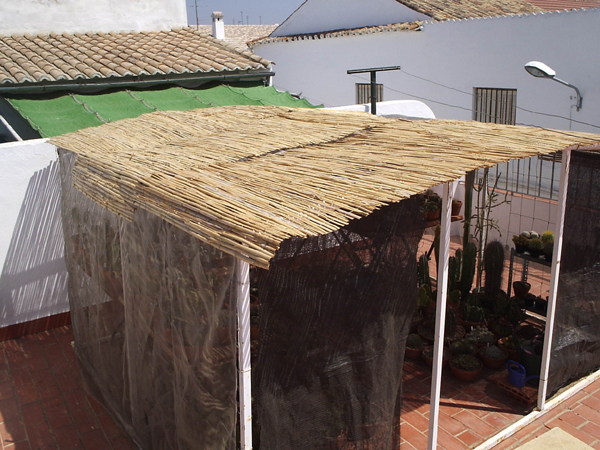 2. Invernadero (cañizo)..JPG