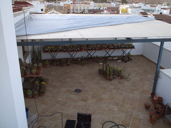 6. colocacion malla pergola.JPG