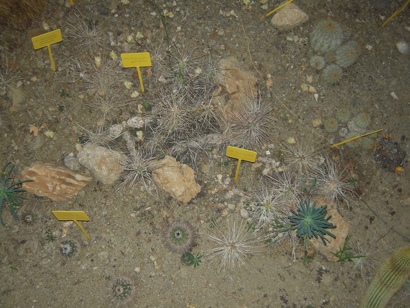DSCN0669.JPG