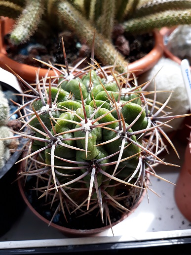 20180401_162443.jpg