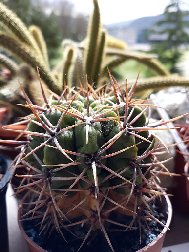 20180401_162428.jpg