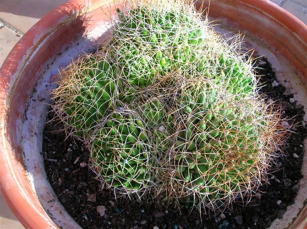 DSCN2730-opt (1).jpg