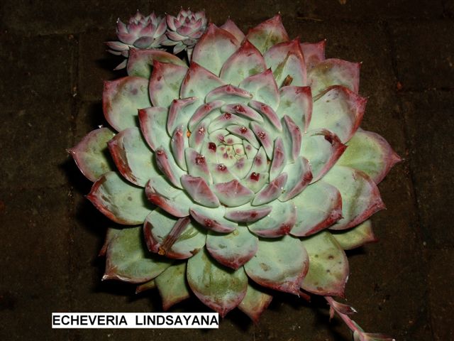 31.10.2008 006.jpg