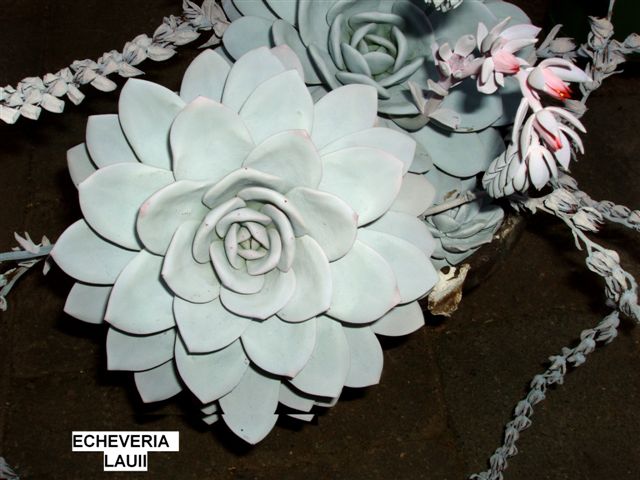 31.10.2008 010.jpg