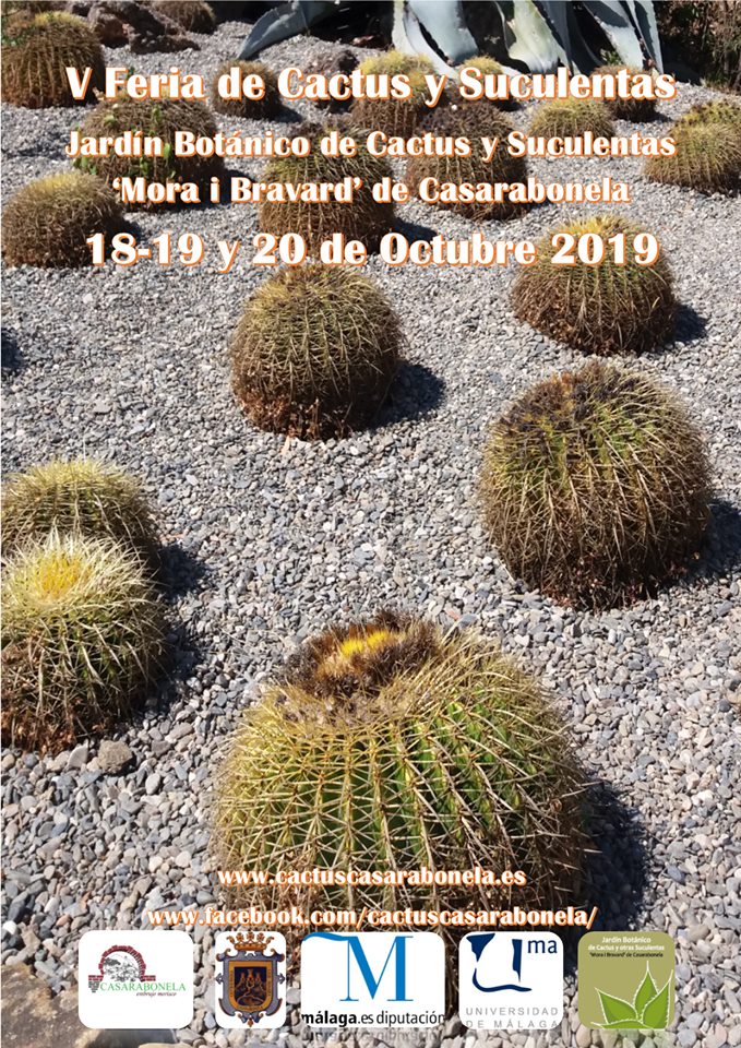 CASARABONELA.jpg