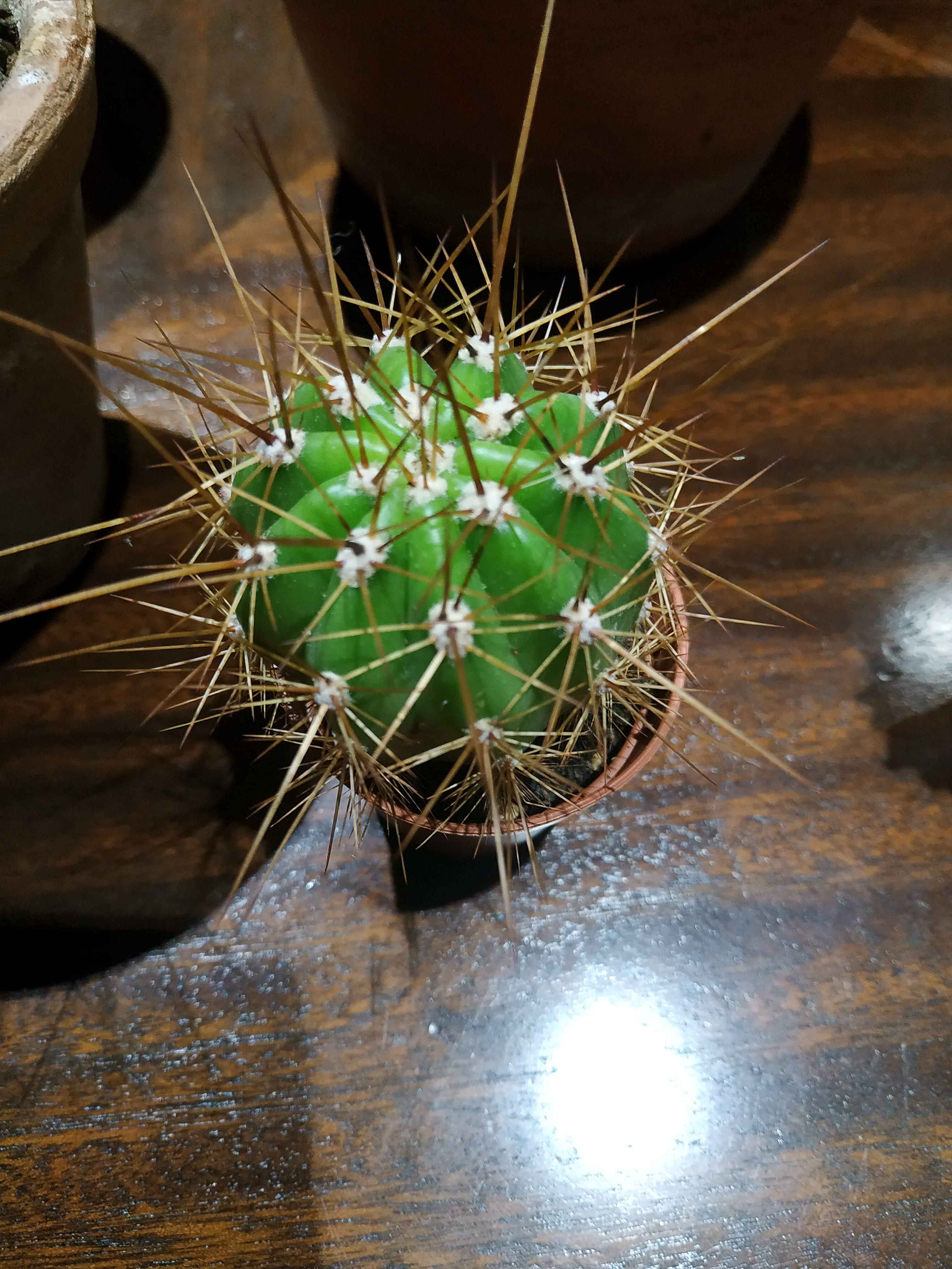 IMG_20201208_232628.jpg