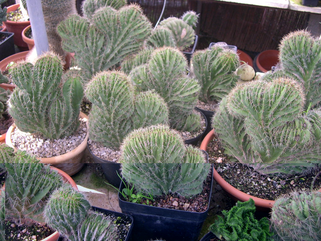 DSCN0032.JPG