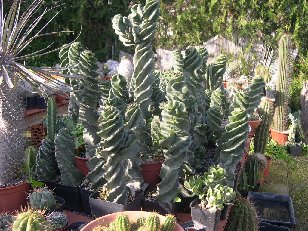 DSCN0038.JPG