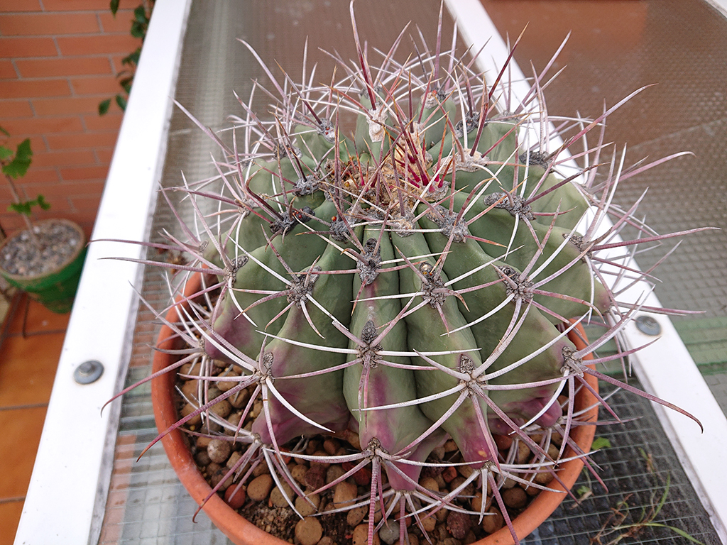 DSC_0276_1024.jpg