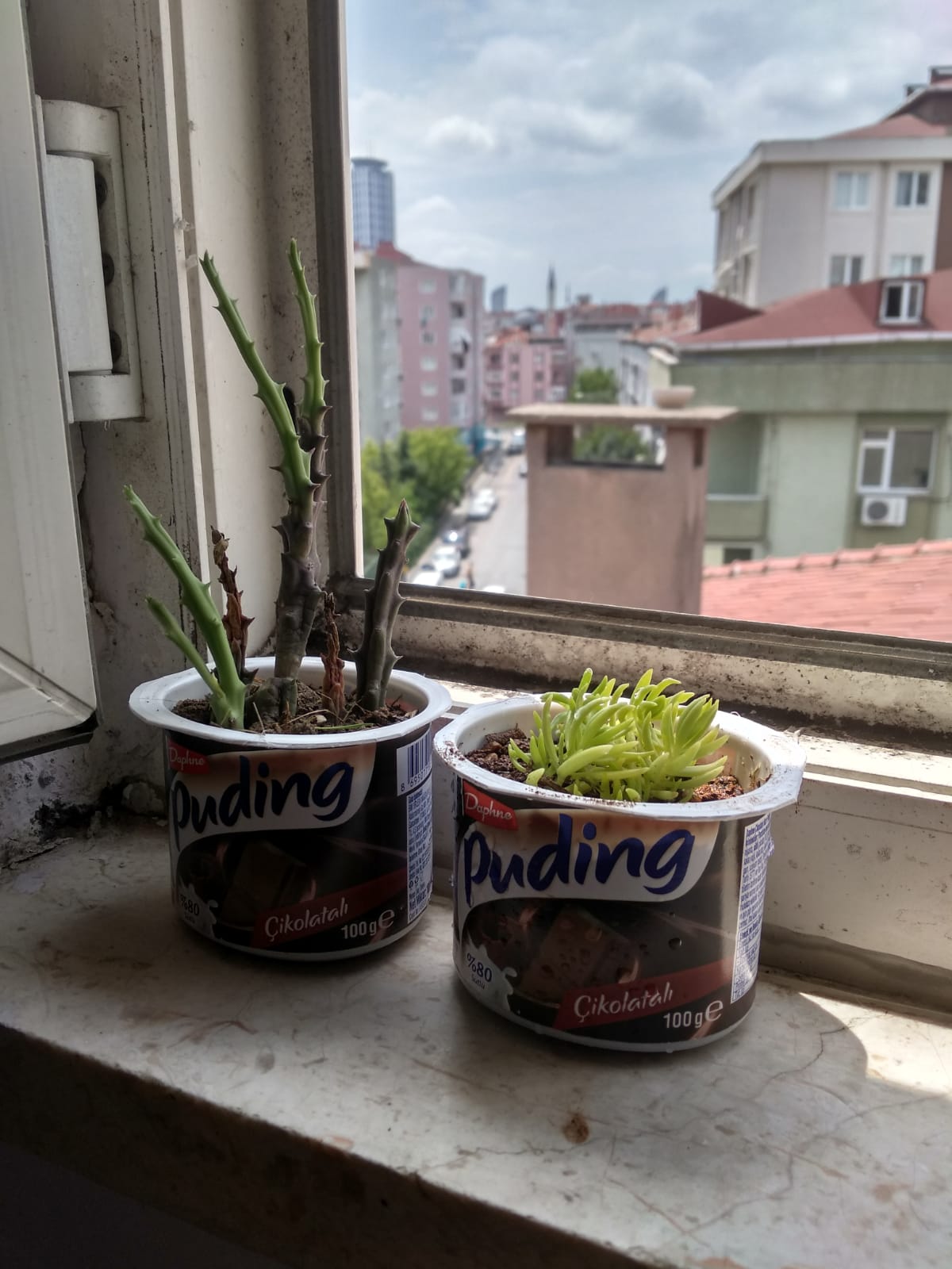 WhatsApp Image 2021-07-03 at 14.06.13.jpeg