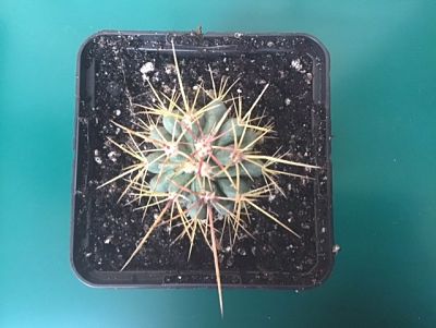 thumbnail_image12_opt.jpg
