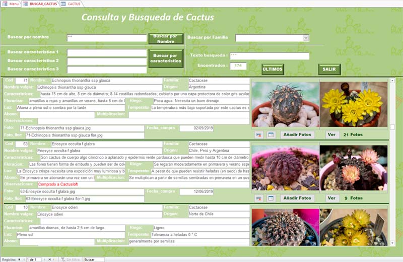Pantalla Cactus.jpg
