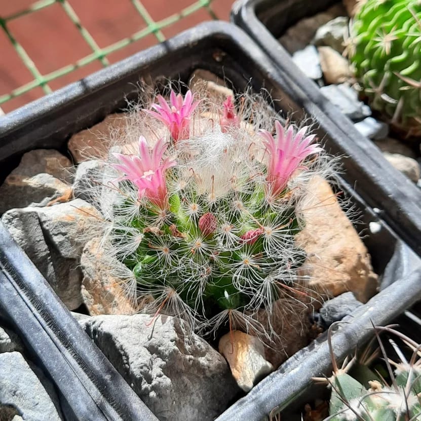 WhatsApp Image 2022-07-15 at 7.48.34 PM.jpeg