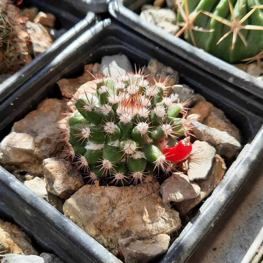 WhatsApp Image 2022-07-16 at 9.27.28 PM(1).jpeg