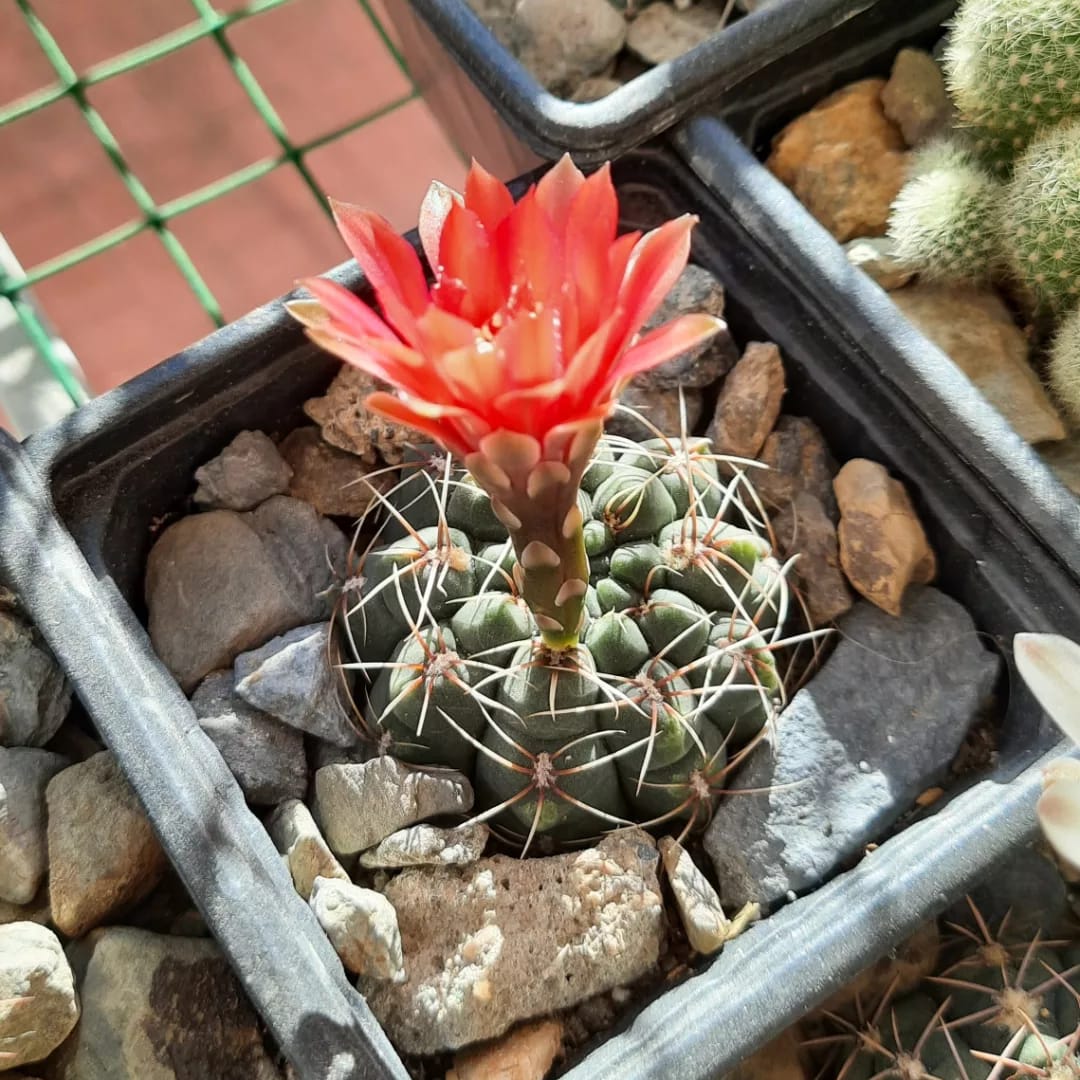 WhatsApp Image 2022-07-16 at 9.27.28 PM.jpeg