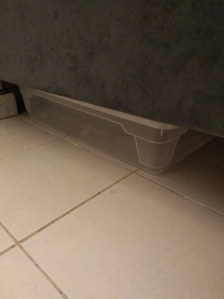IMG_20221003_090836_resize.jpg