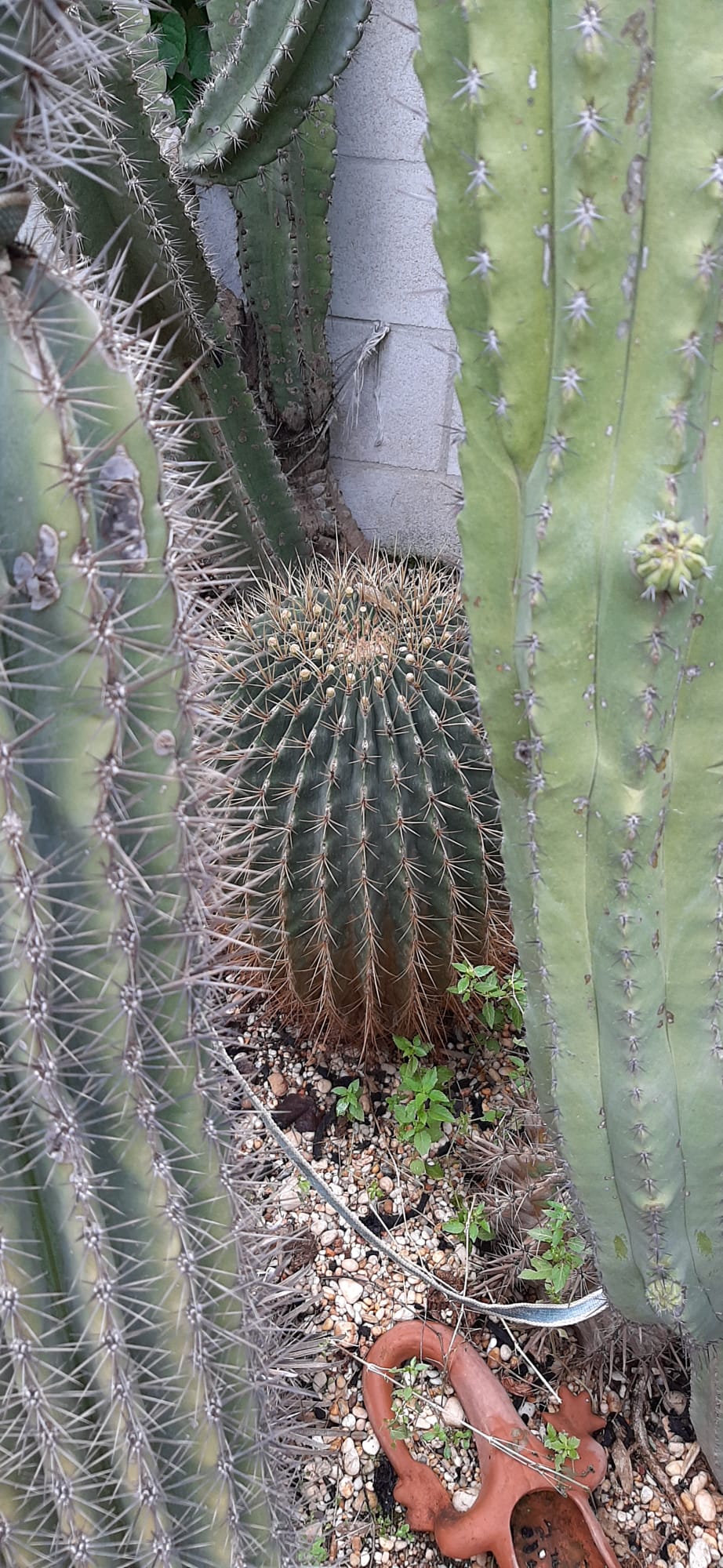 WhatsApp Image 2022-11-10 at 12.56.45 AM.jpeg