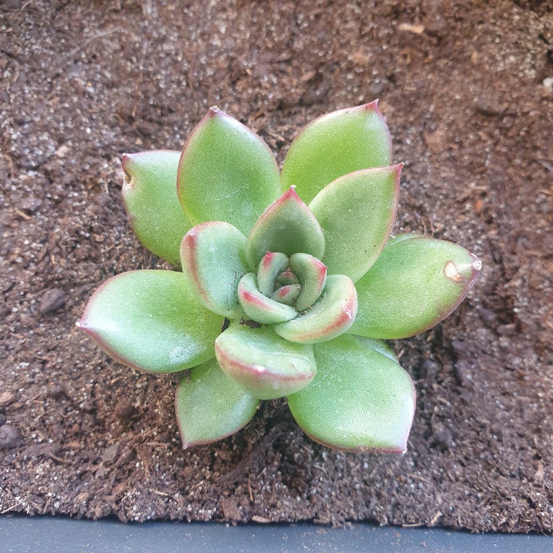 20201001-121347.jpg