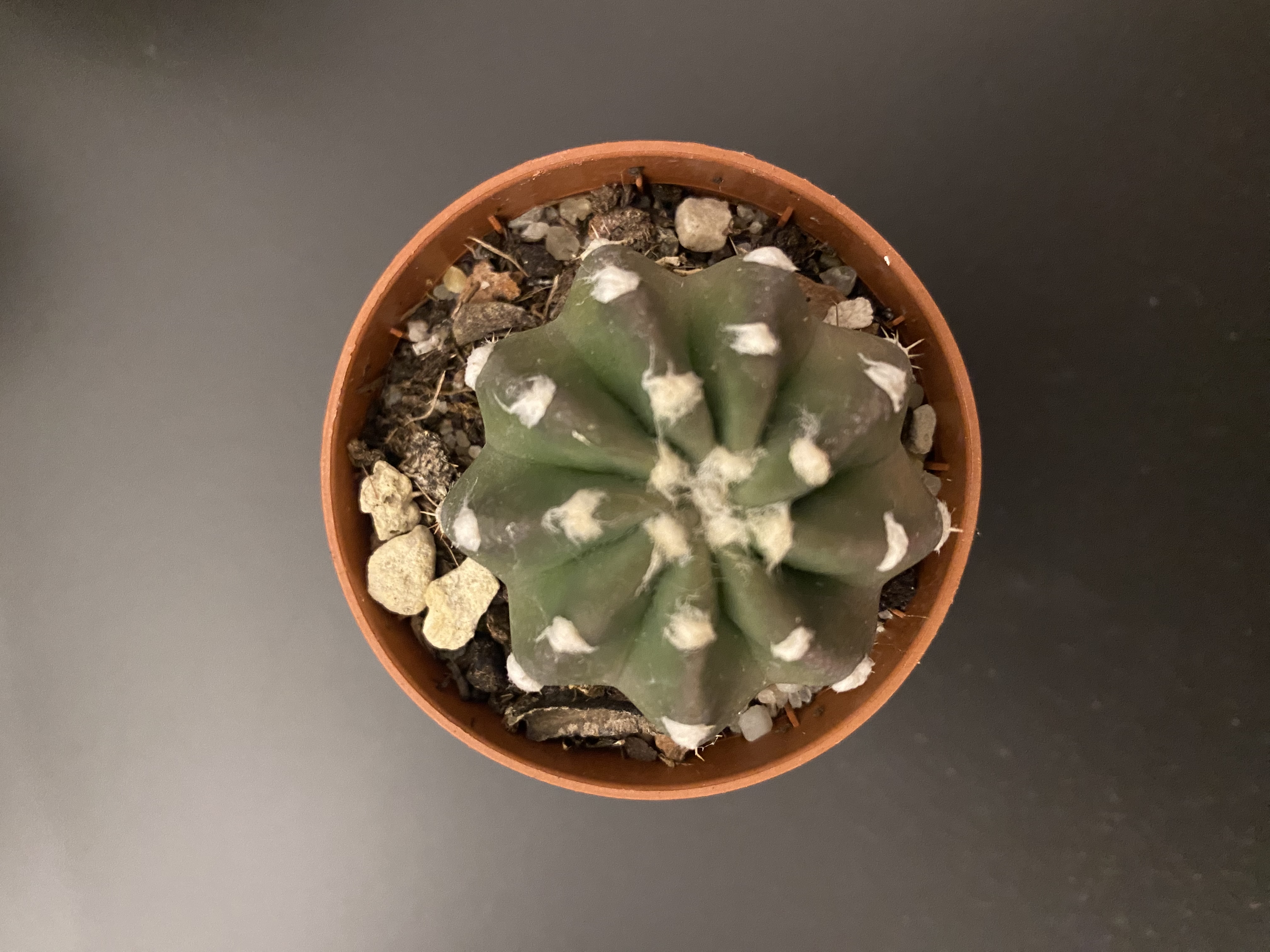 Foto 5