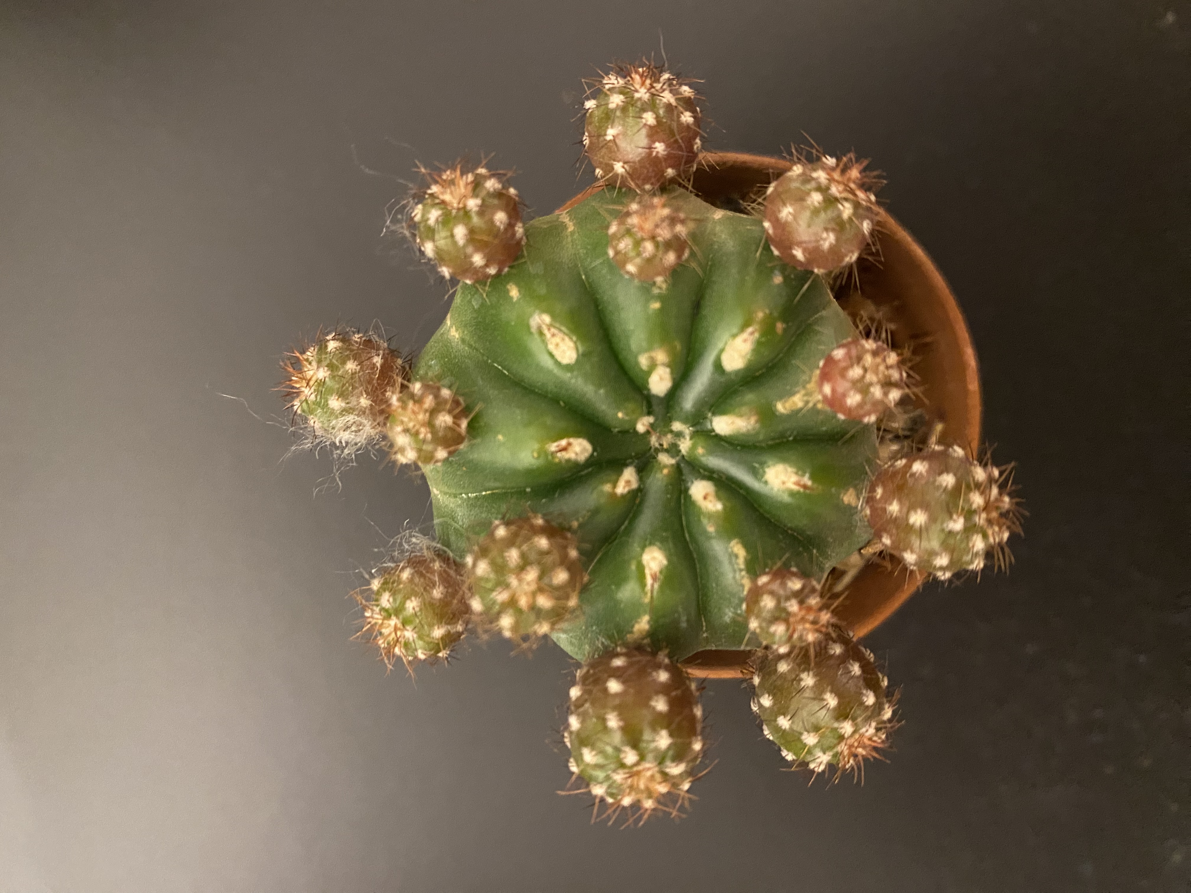 Foto 2