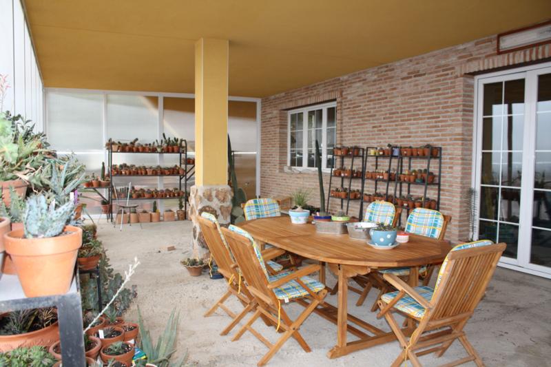 varias 058_800x533.jpg