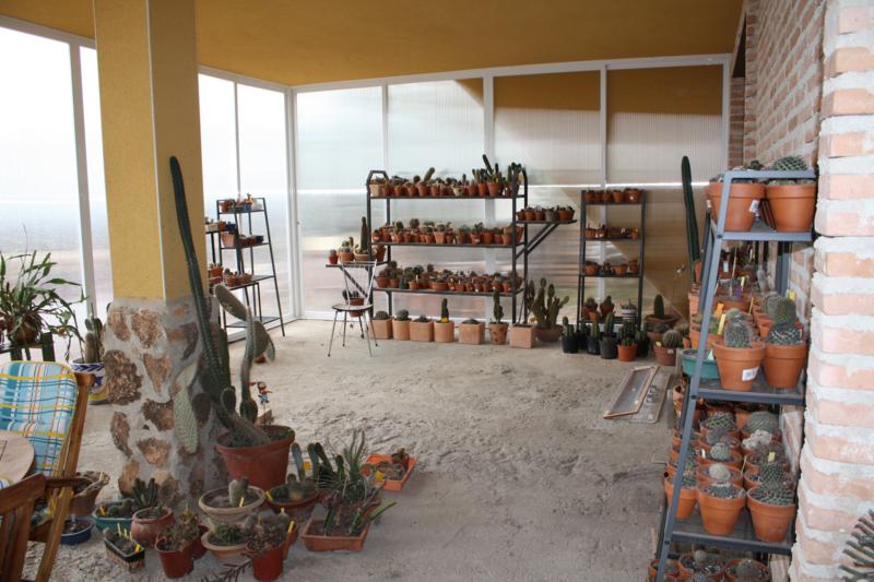 varias 059_800x533.jpg