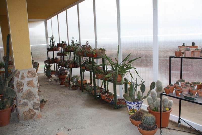 varias 061_800x533.jpg