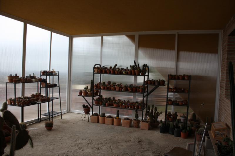 varias 062_800x533.jpg