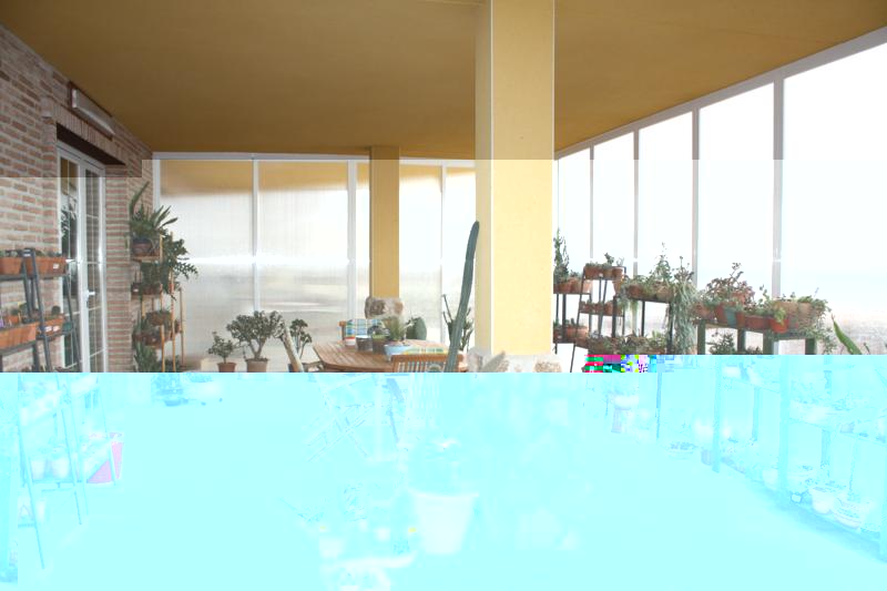 varias 060_800x533.jpg