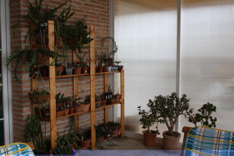 varias 064_800x533.jpg
