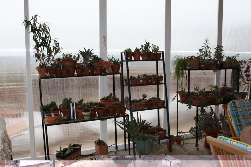 varias 065_800x533.jpg