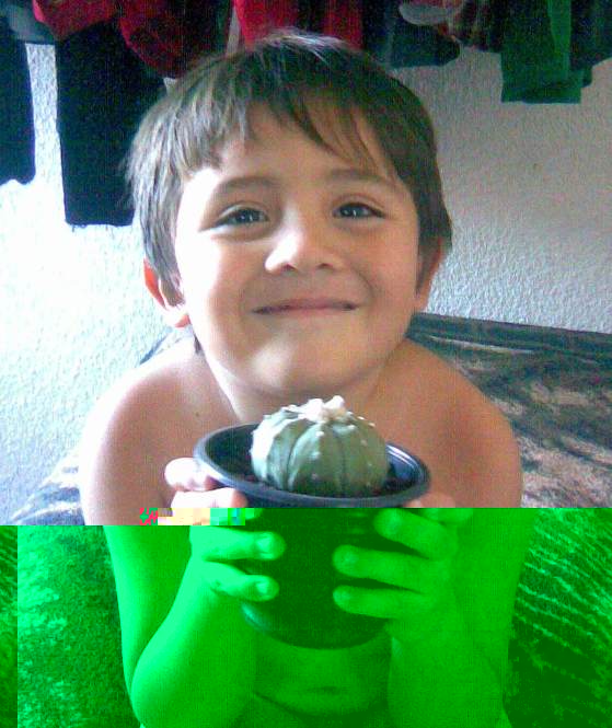 Imagen188.jpg