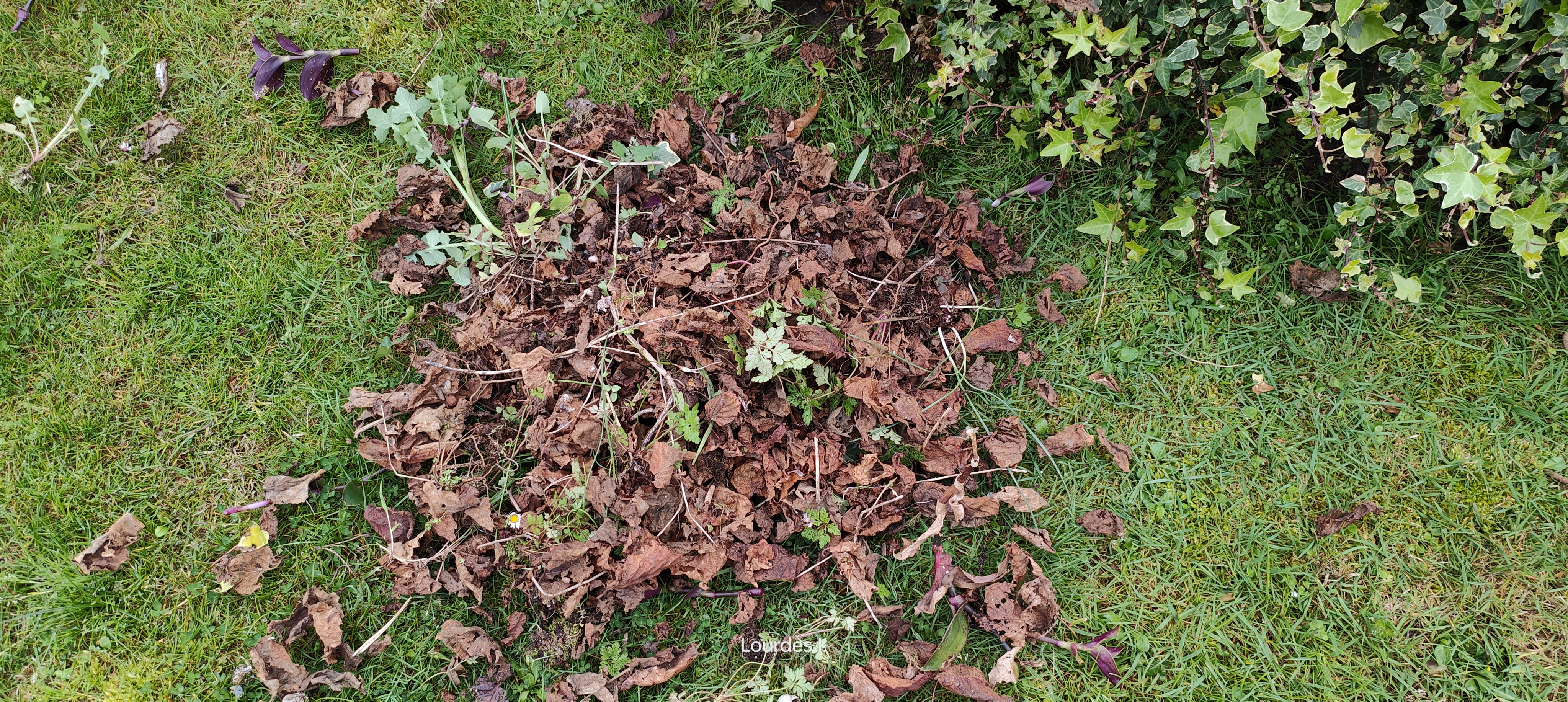 y parece mentira que en escasos 30cm2 hubiera tanta basura