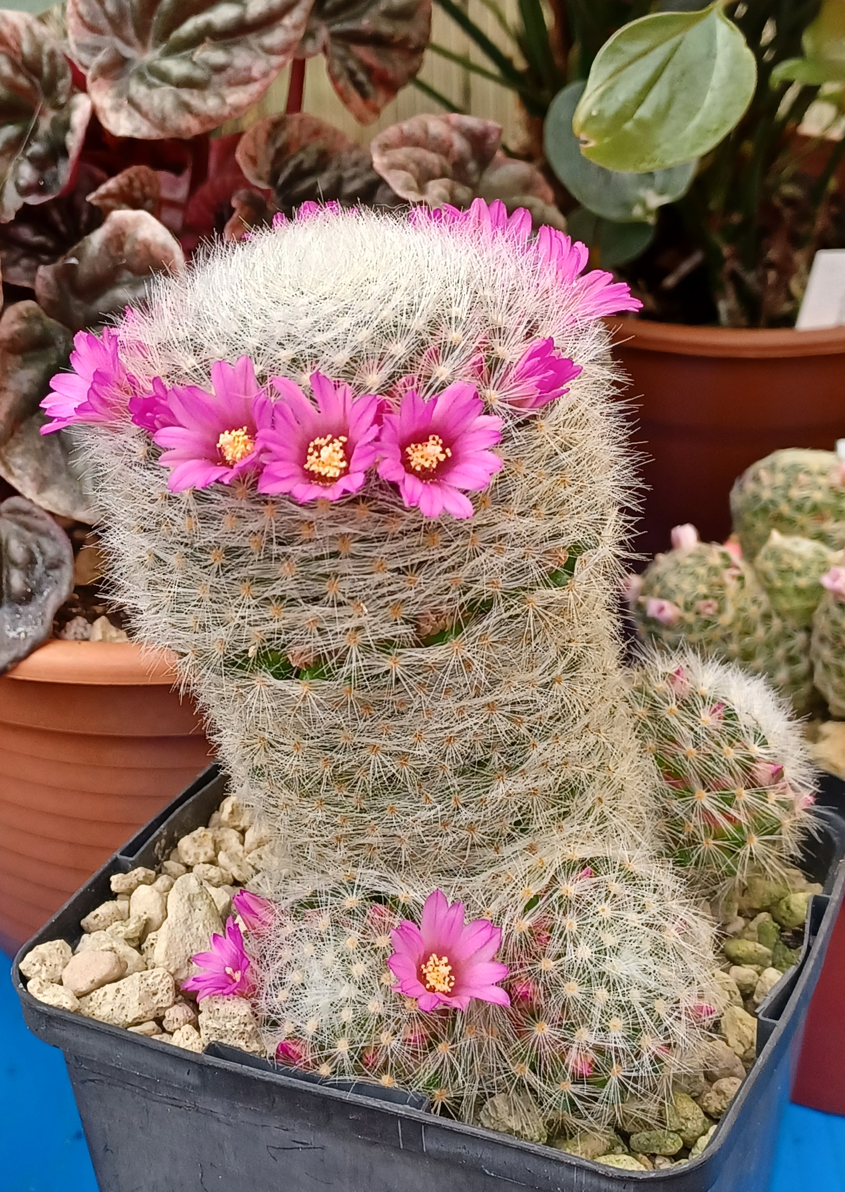 20230325_120804.jpg