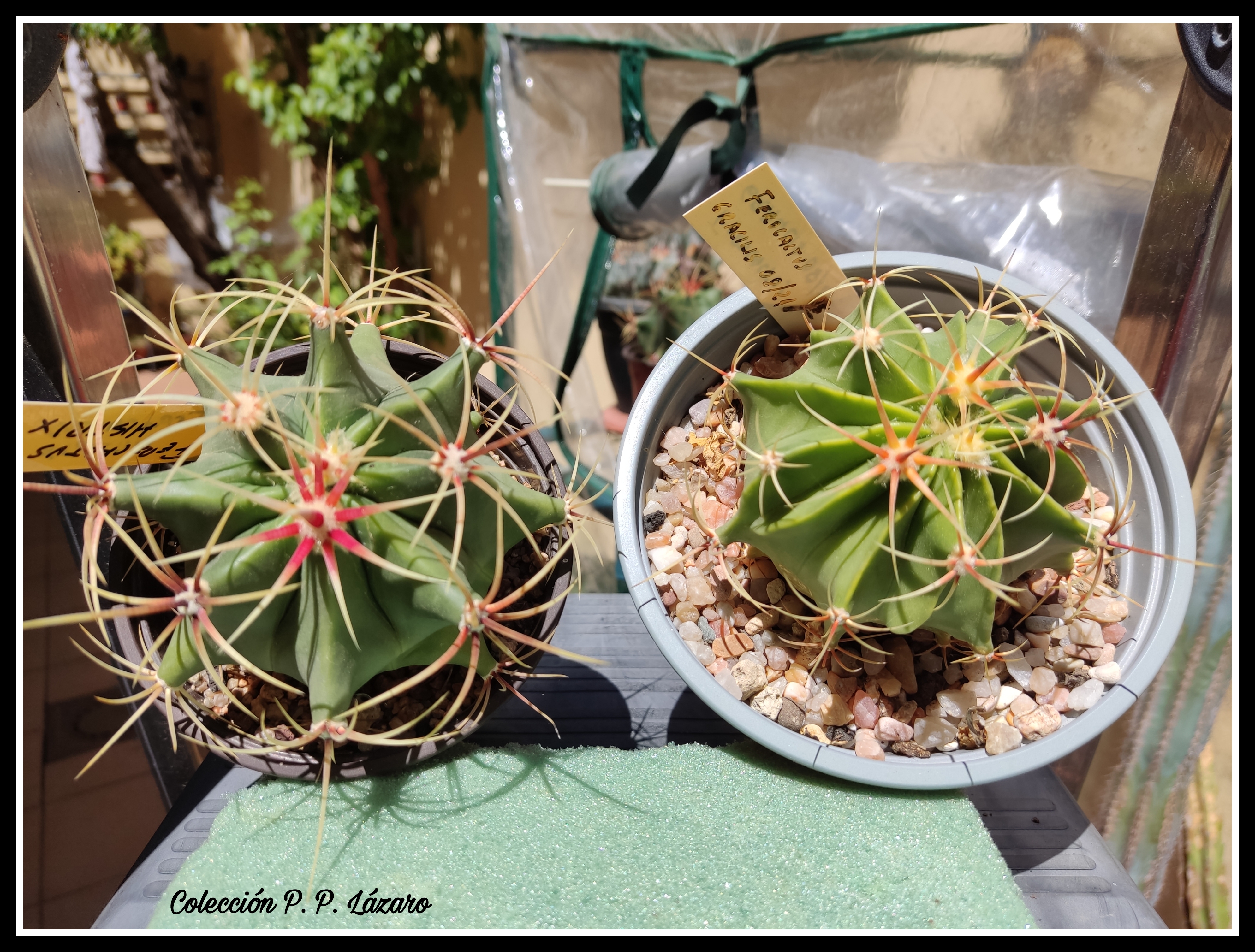 Feros 20230423 134426.jpg