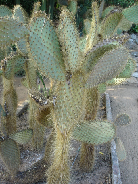 DSC01586.JPG