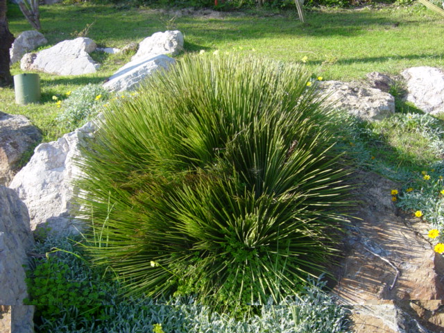 DSC02518-1.JPG
