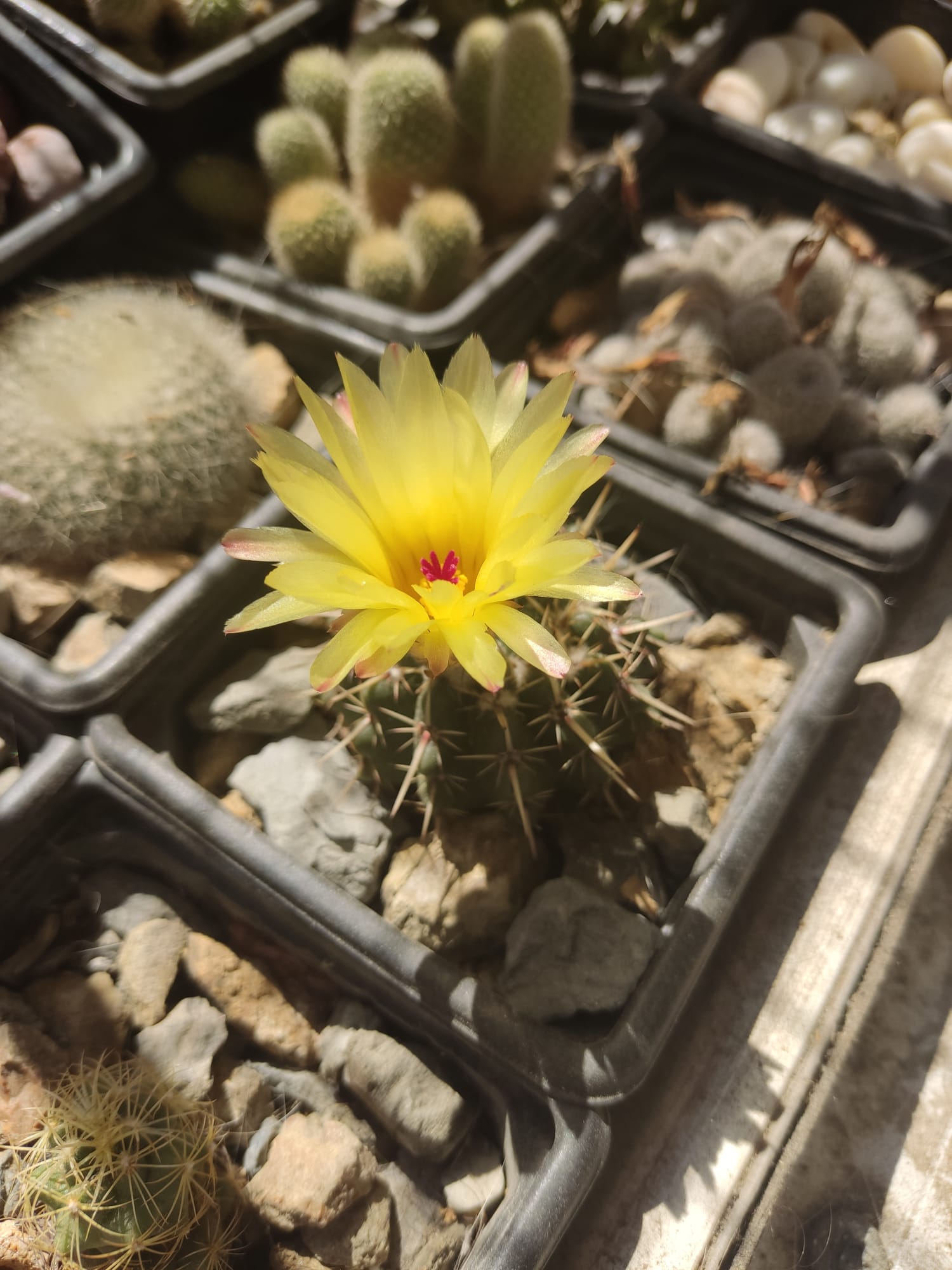 WhatsApp Image 2023-06-23 at 16.04.22.jpeg