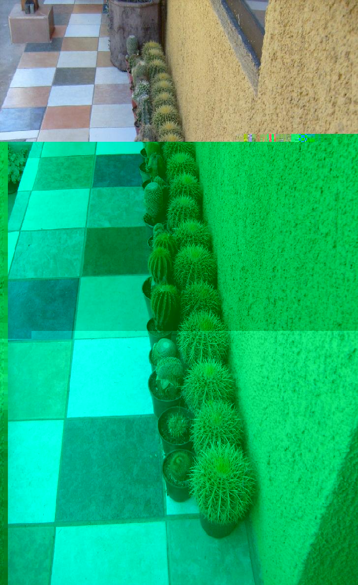 S6301877.JPG