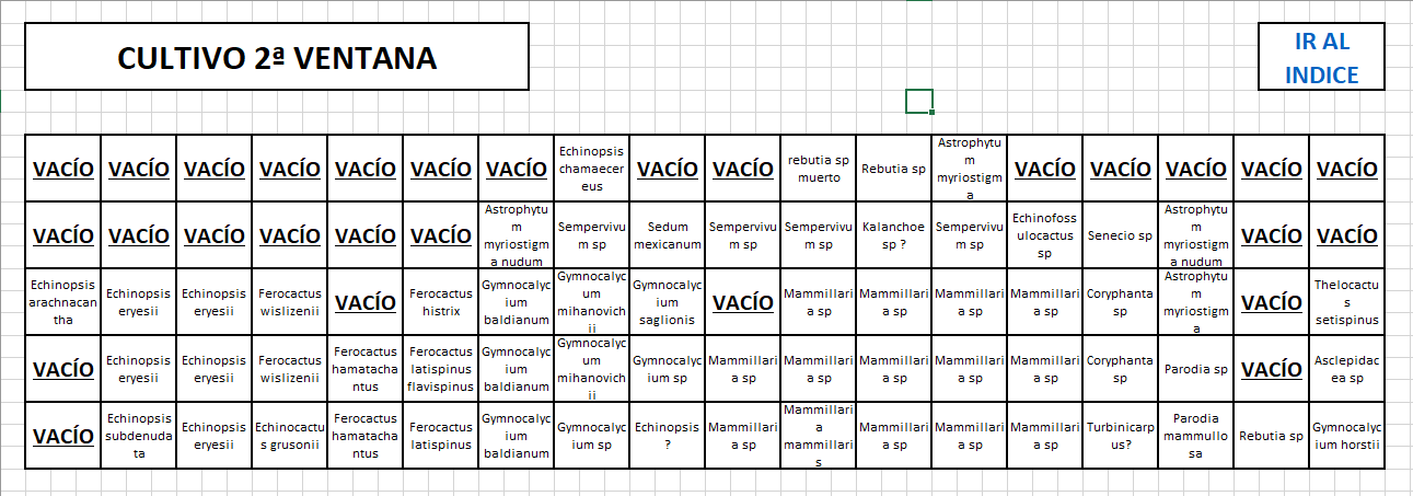 cultivocactus plan julio2023.PNG