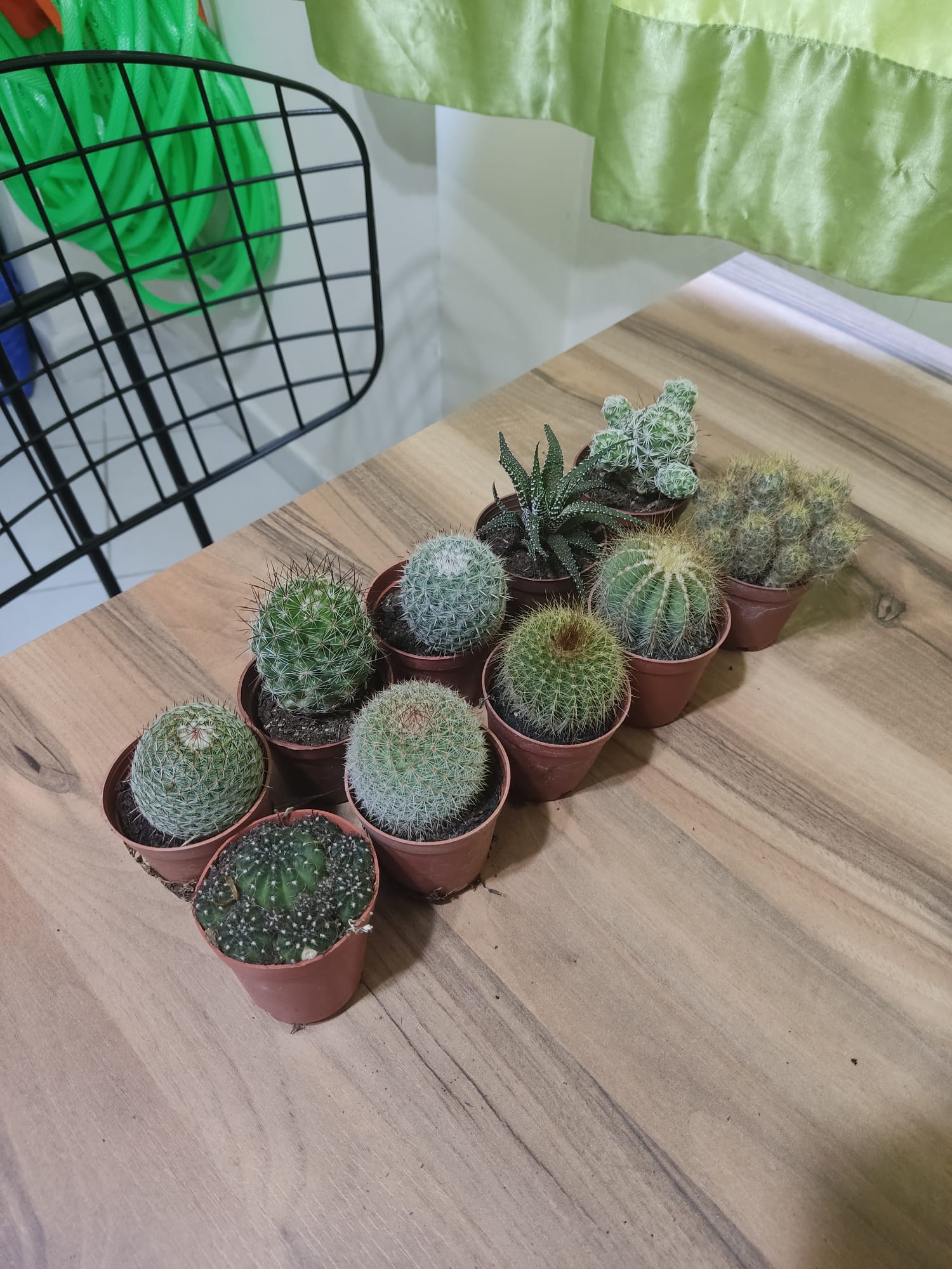 WhatsApp Image 2023-08-05 at 20.55.06.jpeg