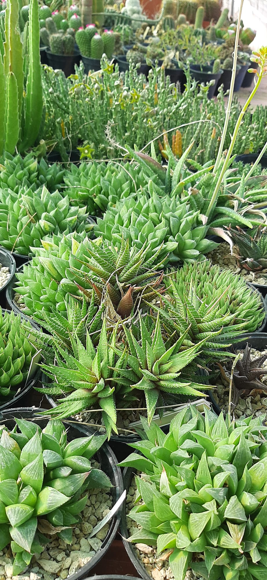 WhatsApp Image 2023-09-09 at 10.25.01 PM (2).jpeg