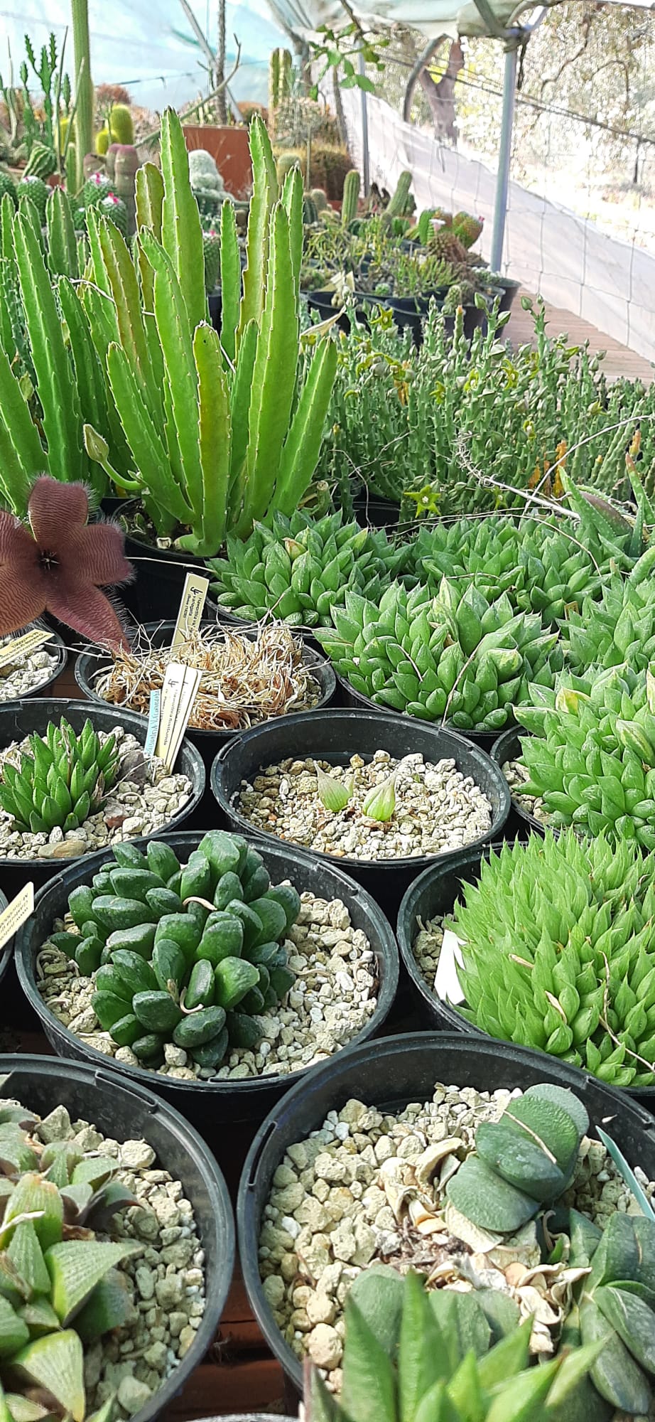 WhatsApp Image 2023-09-09 at 10.25.01 PM (1).jpeg