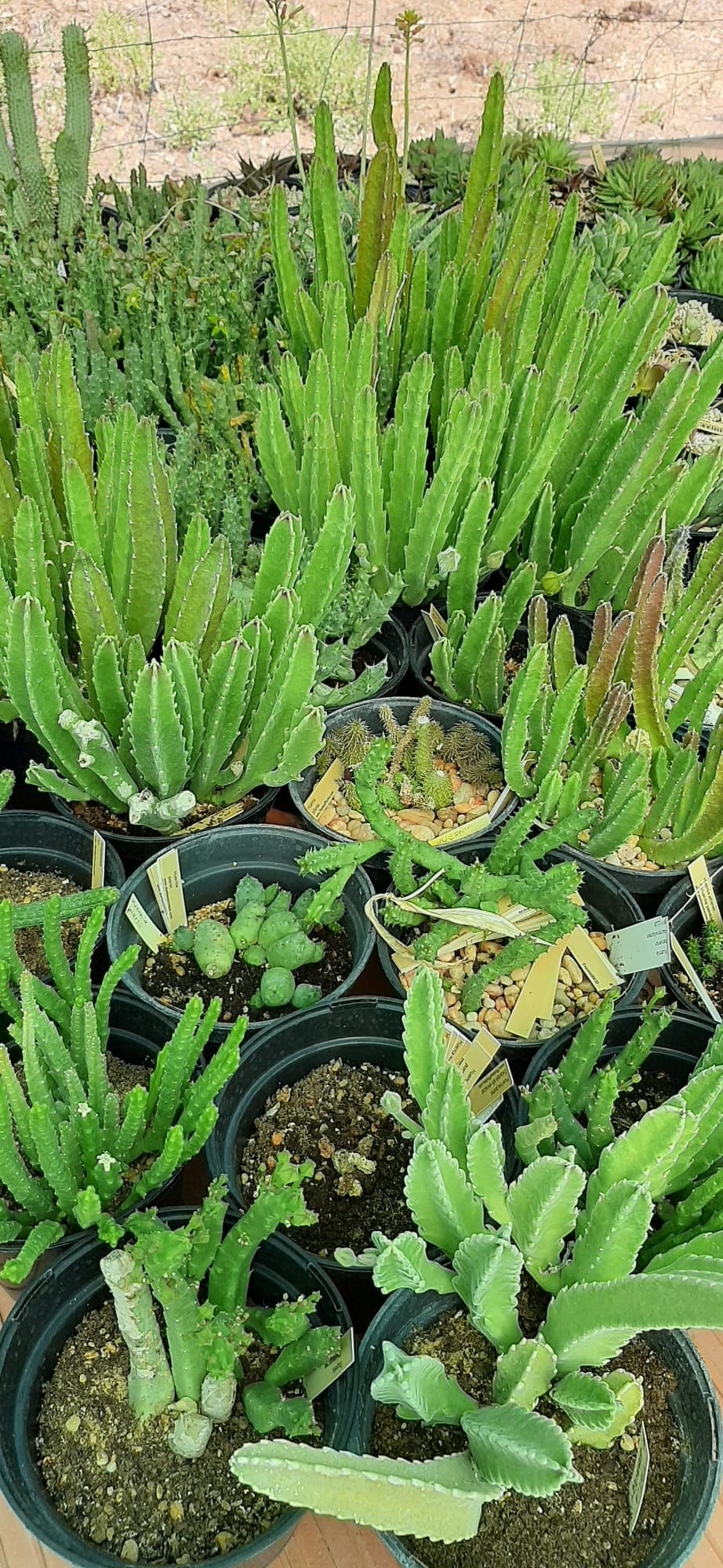 WhatsApp Image 2023-09-09 at 10.25.01 PM.jpeg