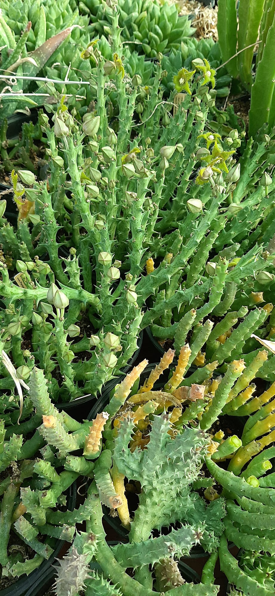 WhatsApp Image 2023-09-09 at 10.24.59 PM.jpeg