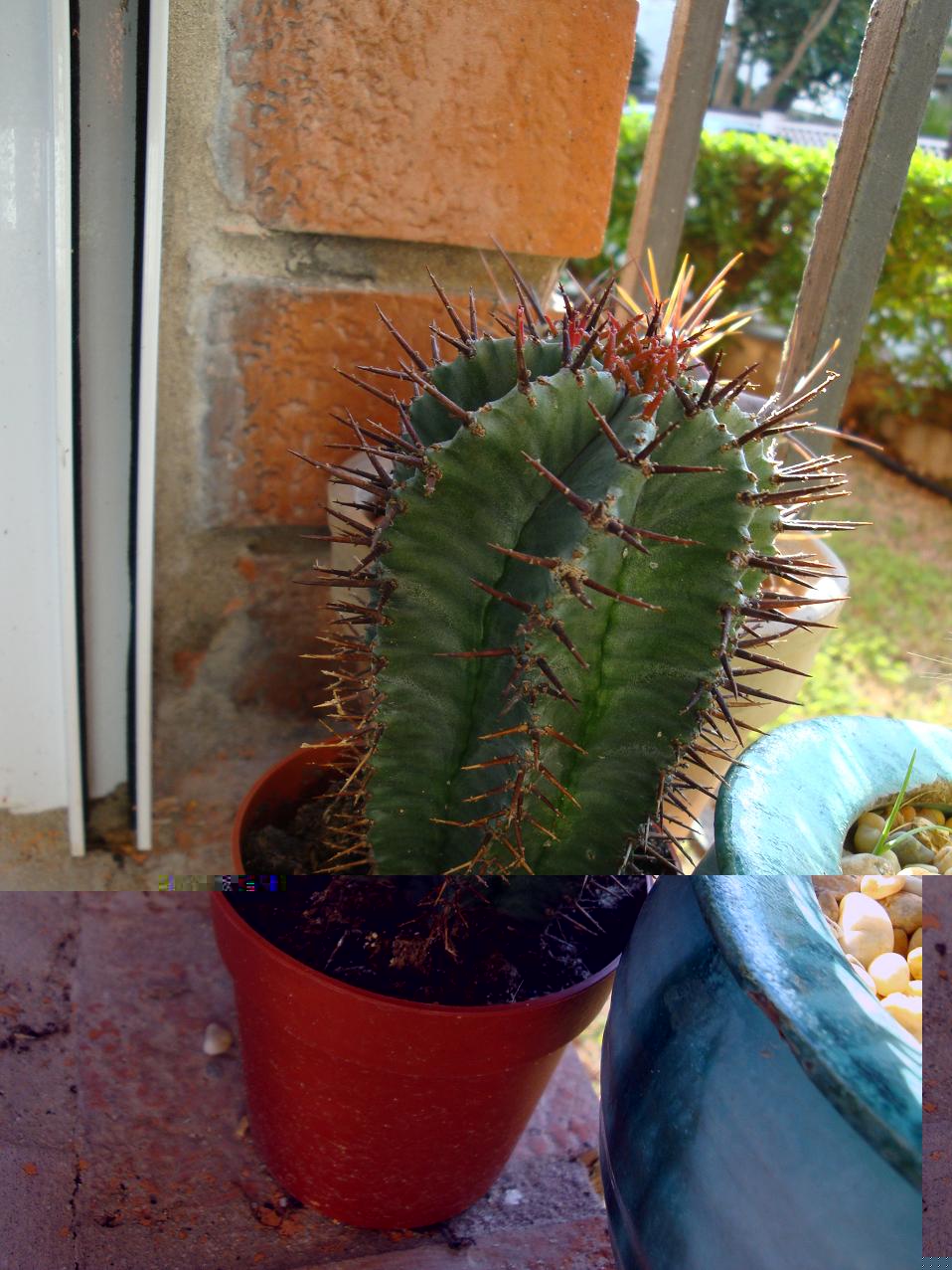 DSC01043.JPG