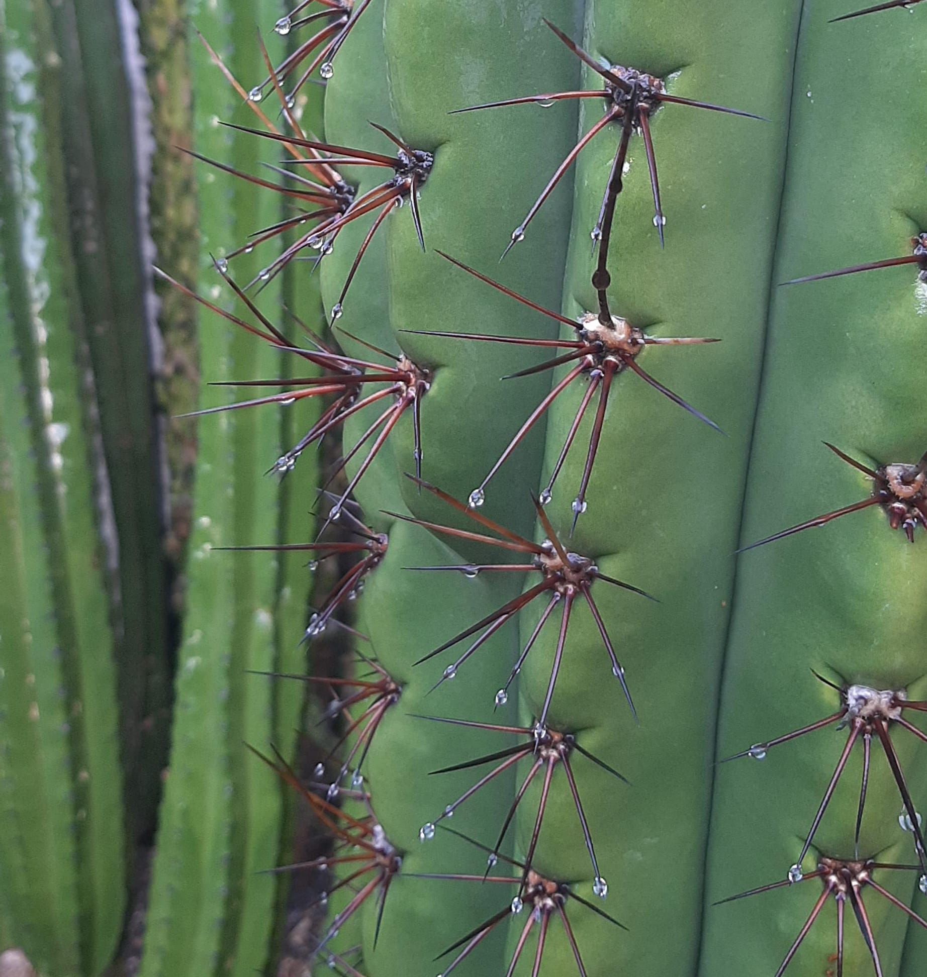 WhatsApp Image 2023-10-08 at 9.27.56 PM.jpeg