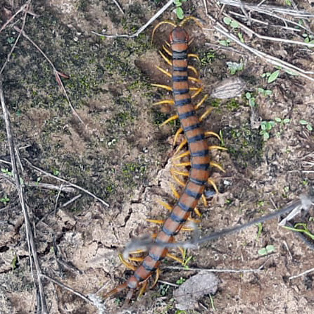 WhatsApp Image 2023-10-31 at 9.13.19 PM.jpeg